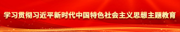 草死我吧嗯嗯好大学习贯彻习近平新时代中国特色社会主义思想主题教育